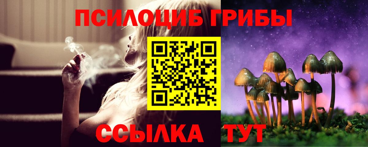 Полысаево  Псилоцибиновые грибы мицелий  Вход с VPN 