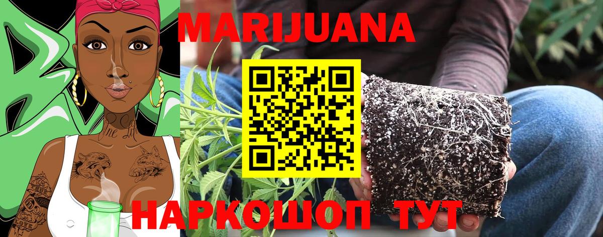 Бошки марихуана ГИДРОПОН Полысаево